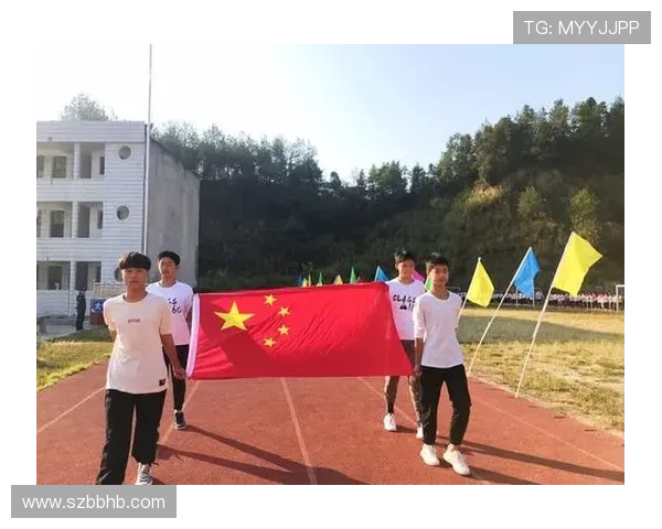 全运会体操男子跳马决赛巅峰较量尽显速度力量魅力时刻精彩纷呈秀